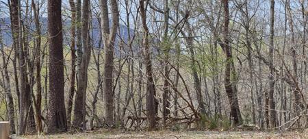 Lot 4 Teakwood DR