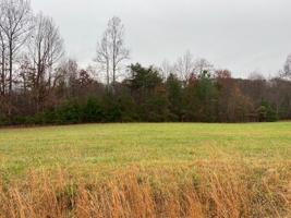 Lot 17 Blue Heron DR