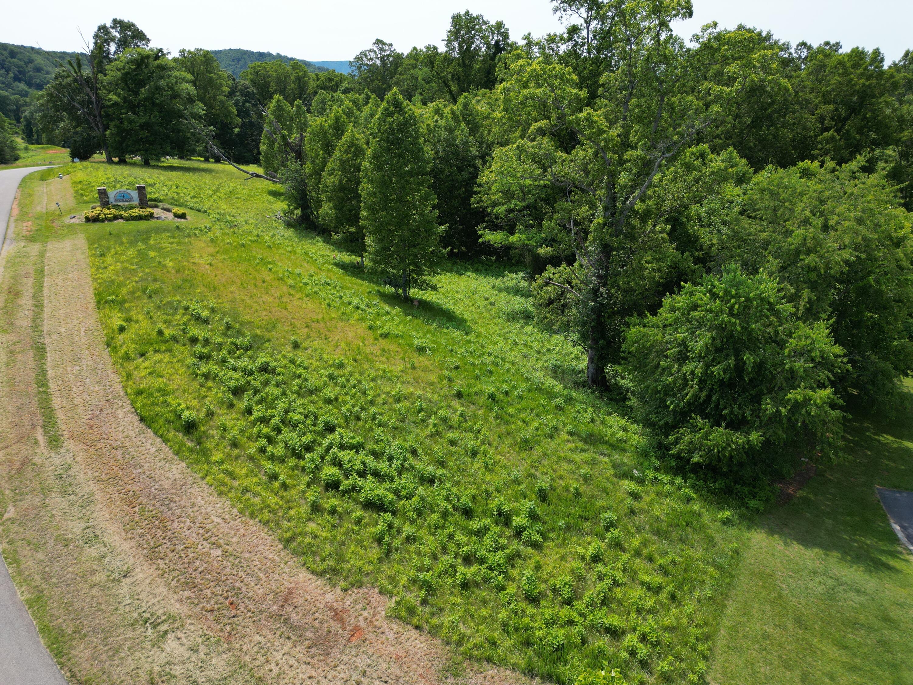 Image 4: Lot 4