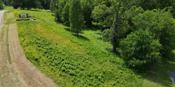 Image 4: Lot 4
