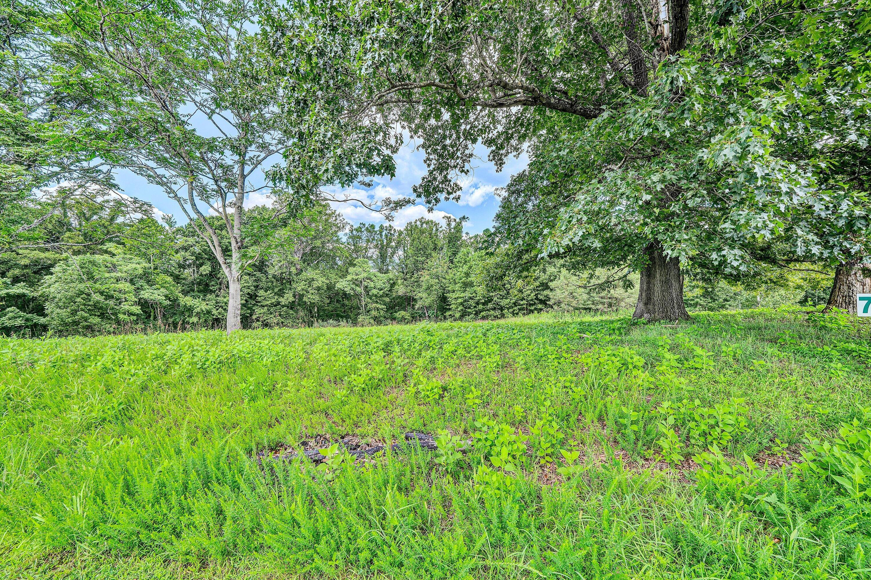 Image 3: 08-Lot 7