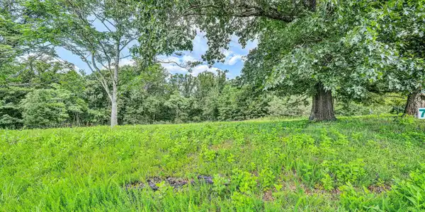 Image 3: 08-Lot 7