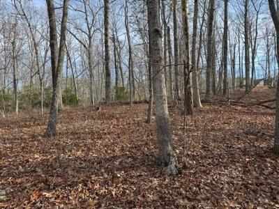 Lot 48 Old Mill DR