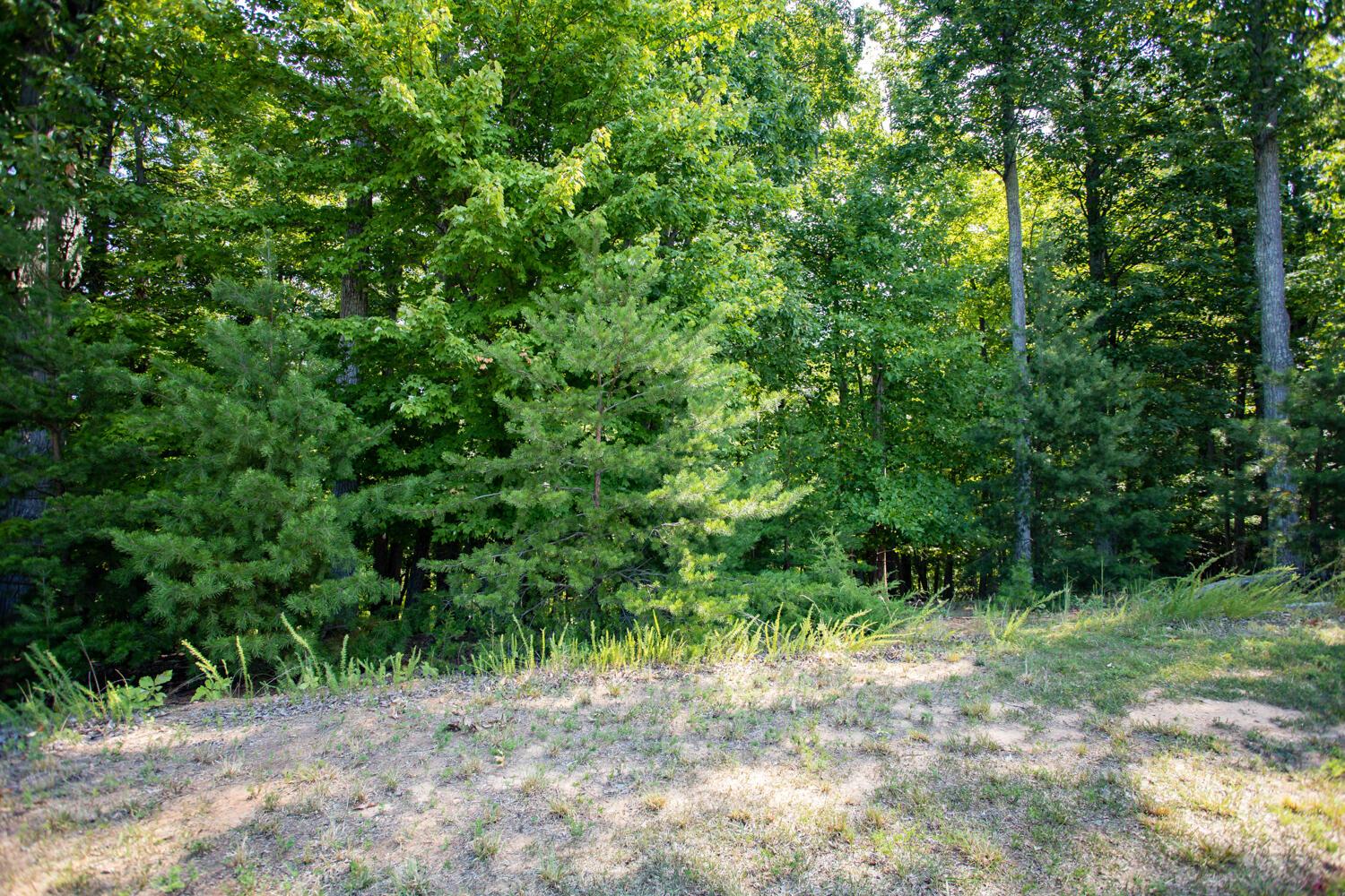Image 2: Lot 1 Sweetbriar Bay Dr-1
