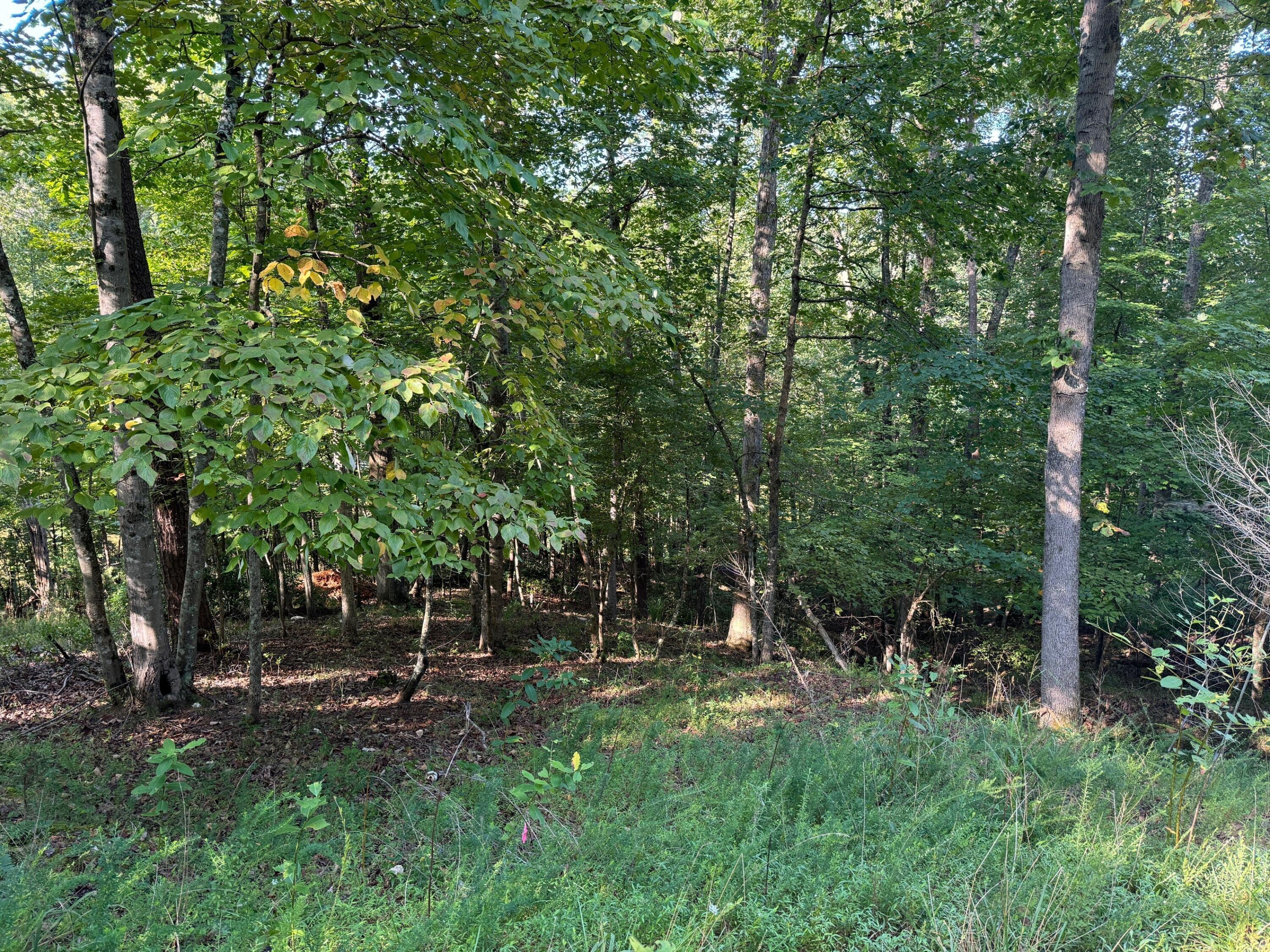 Image 2: LAND2