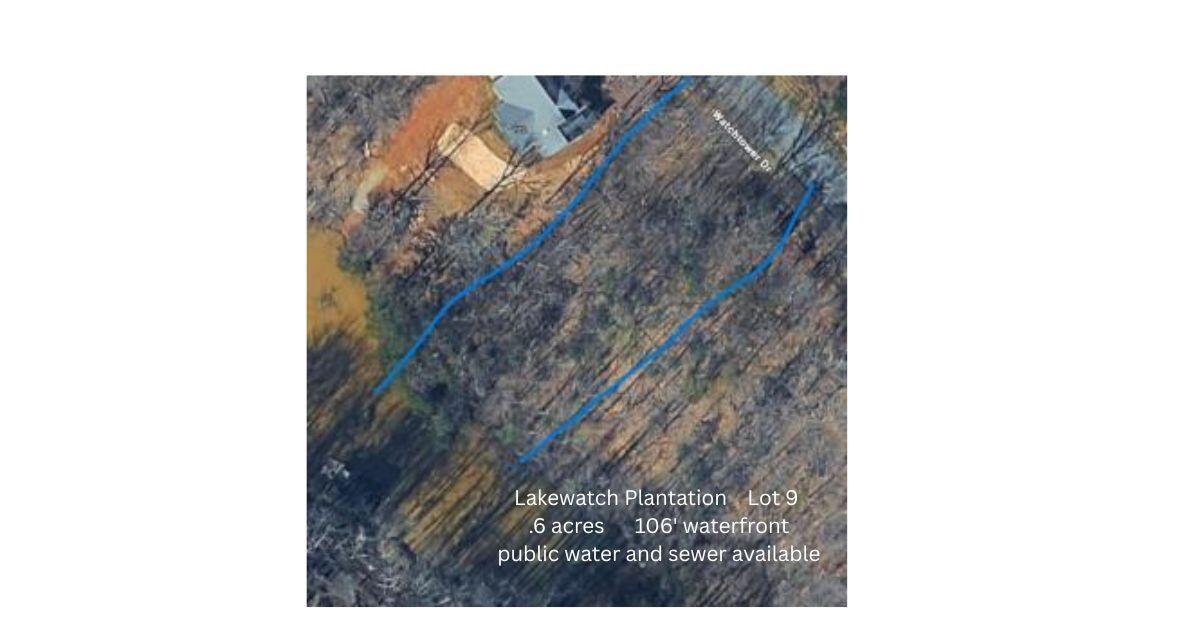 Image 1: lot9