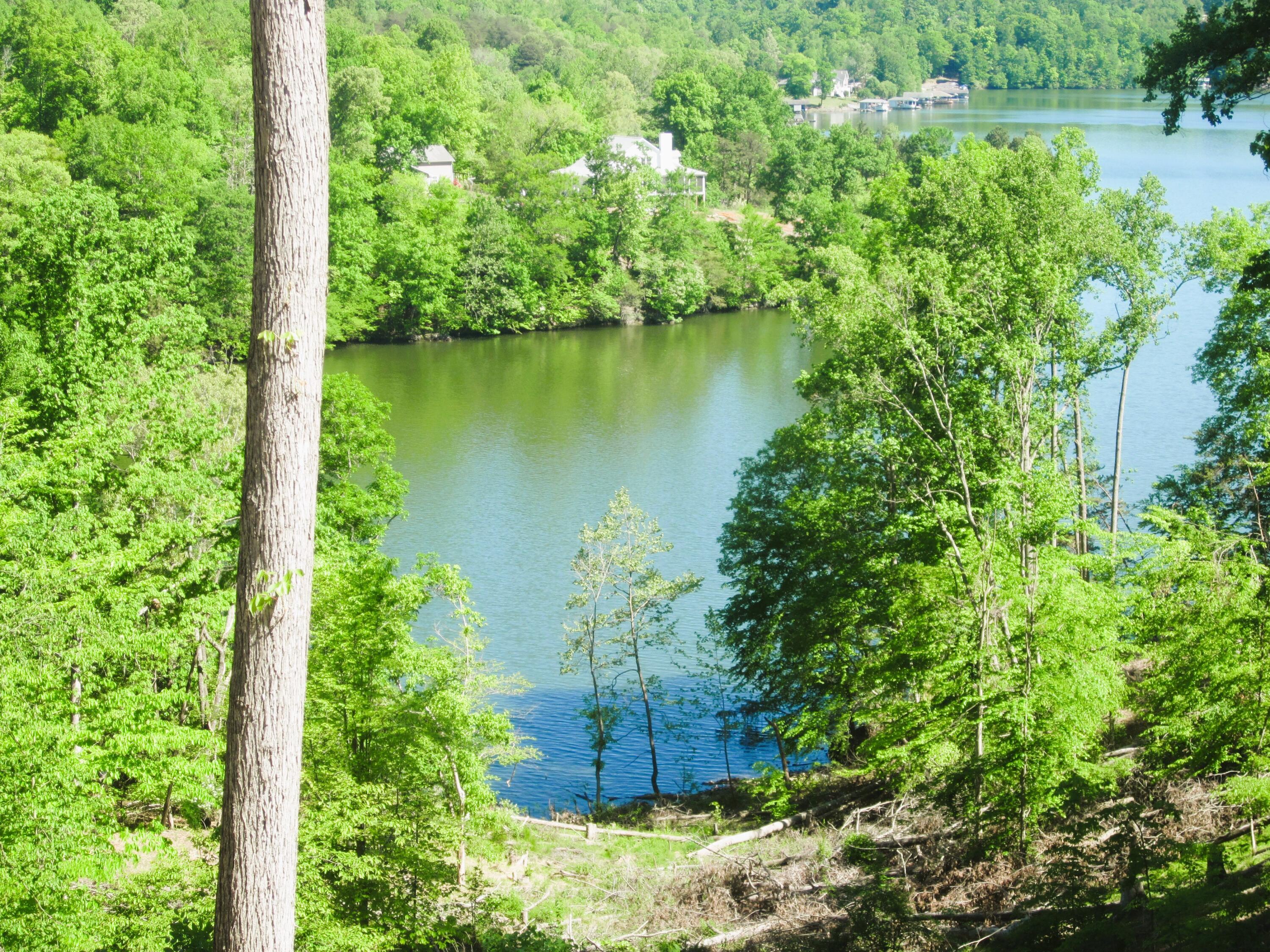 Image 3: IMG_0290