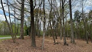 Lot 291 Dormie LN