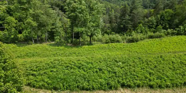 Lot 31-35 River Rock RD
