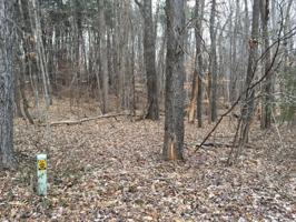 Lot 51-A Middlecreek CT