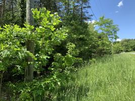 Lot 90 Stripers Landing RD