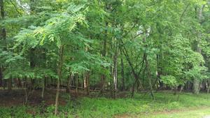 Lot #24 OLD MILL DR