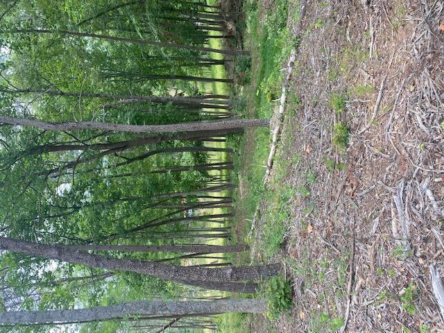 Image 3: Lot 96