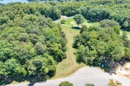 Lot 243 Flagstick CT