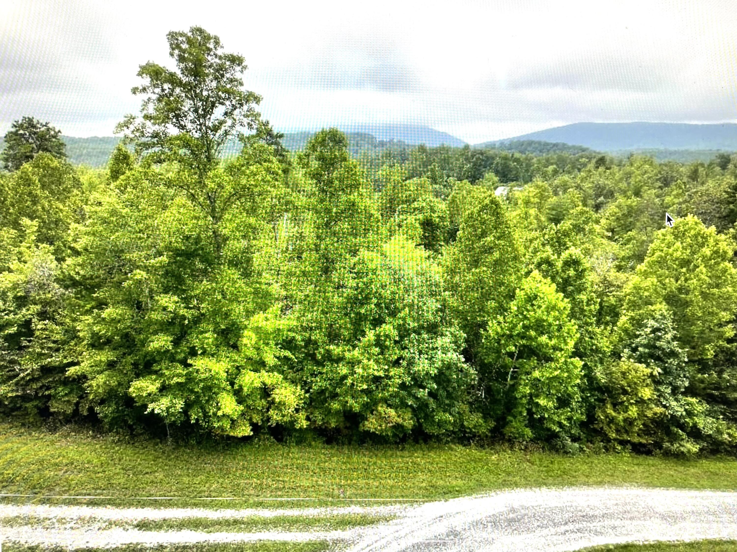 Image 2: Lot 5 Reservoir View