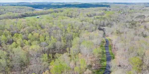 Image 3: 14-DJI_20240413094948_0014_D_MIB