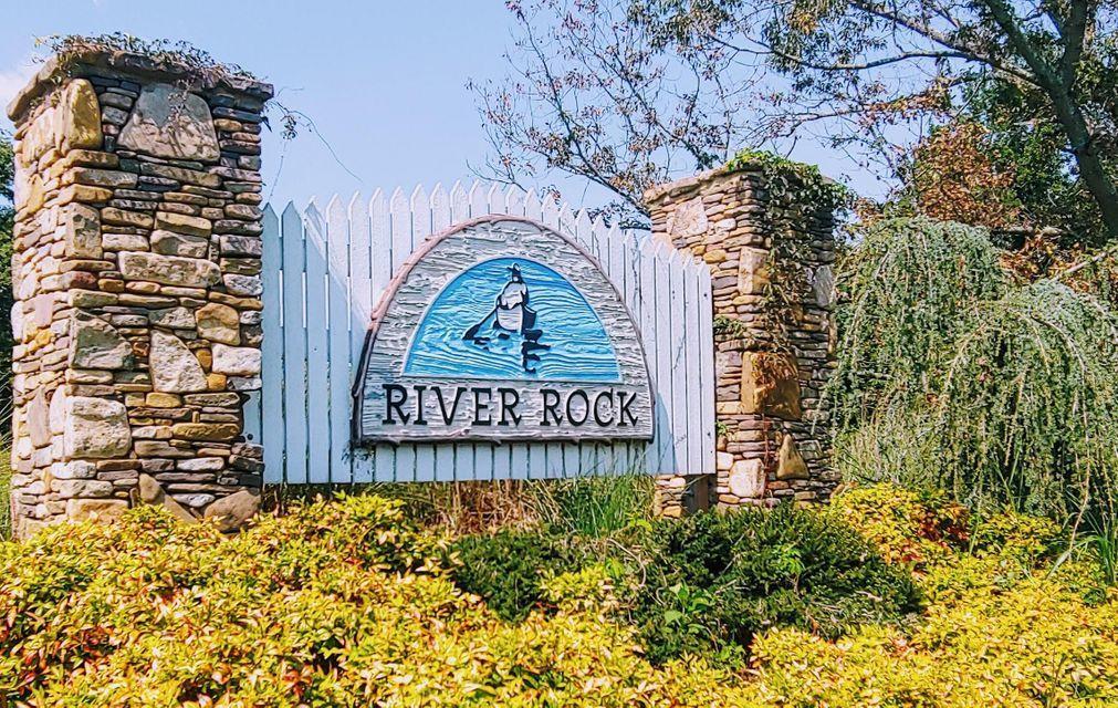 Image 1: River Rock