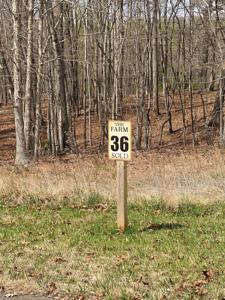 Lot 36 Smokehouse RD
