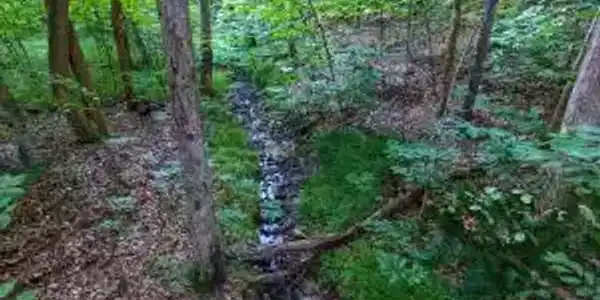 Lot 61 Lakepointe Cove CT