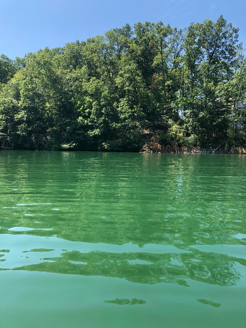 Image 4: lot 23 sancturary bay