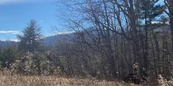 Image 4: Lot 28 Road side
