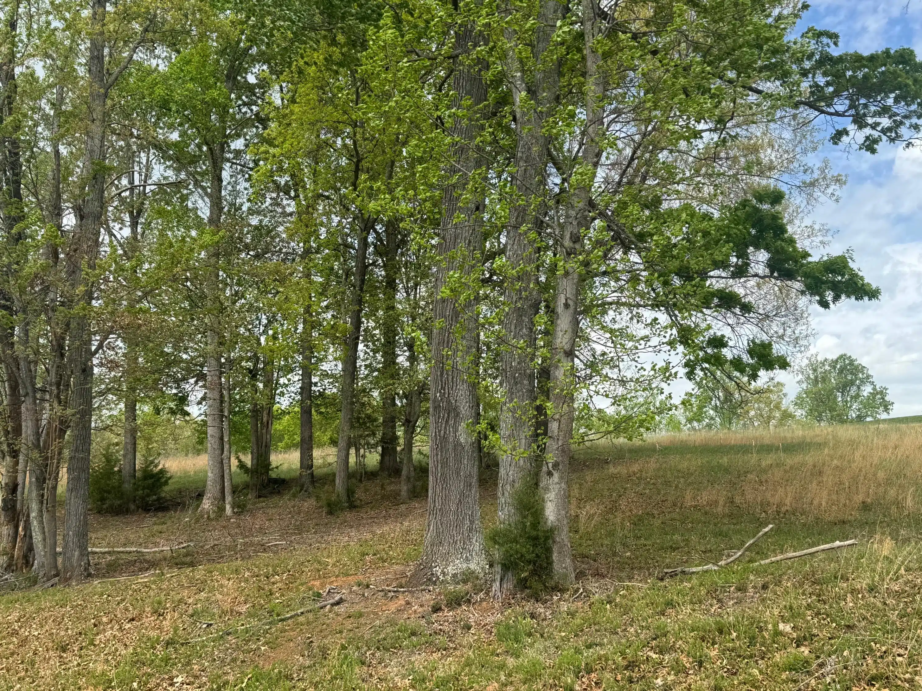 Image 1: LOt 28 Farm DRive