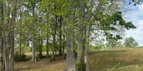 Lot 28 Farm DR