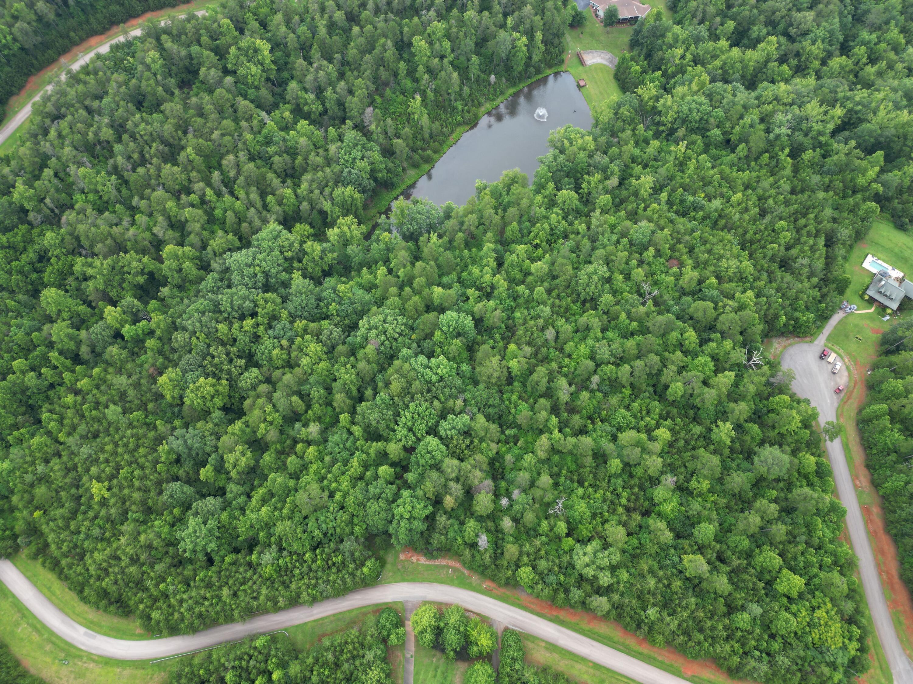 Image 2: dji_fly_20250623_121524_256_175278505327