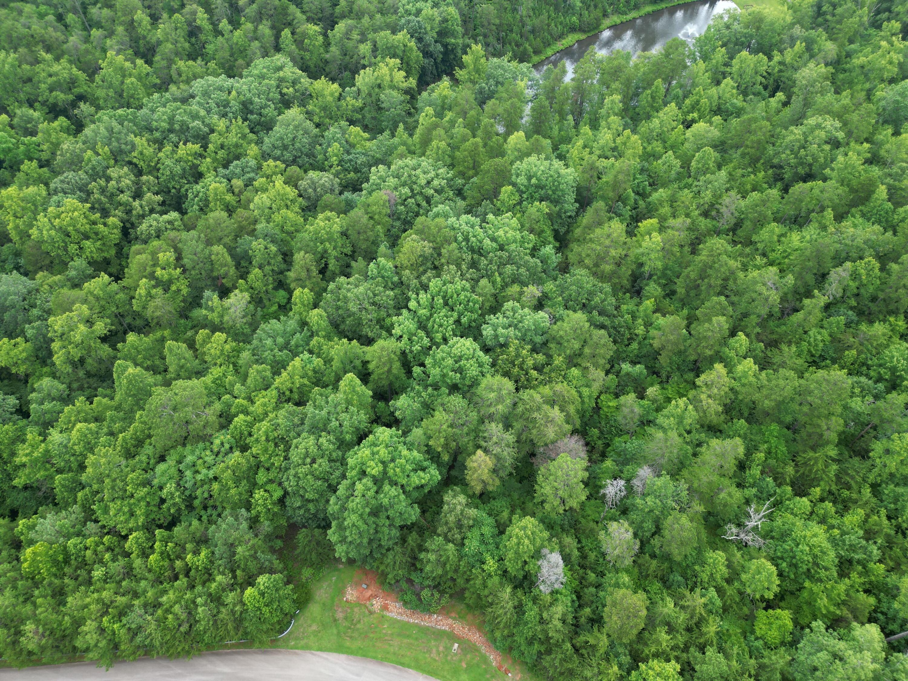 Image 3: dji_fly_20250623_121108_250_175278504289