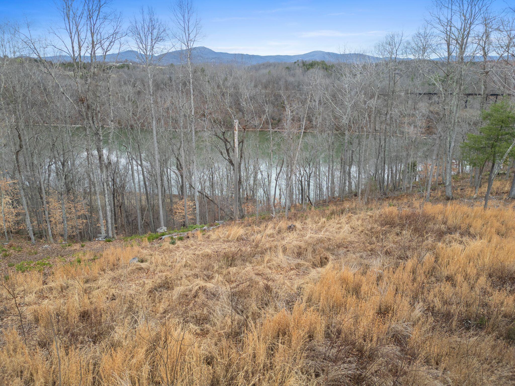 Image 2: Front View Ground Level