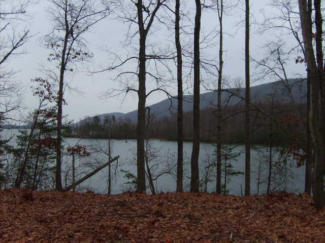 Image 2: 20200730214214198975000000-o