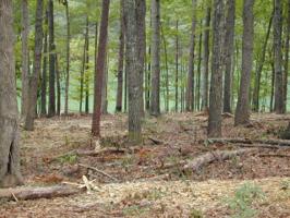 lot 19 Mountain Vista DR