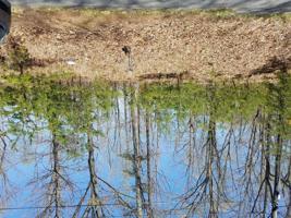 Lot 49 Summerhouse DR