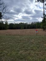 Lot 173 Hidden Cove LN