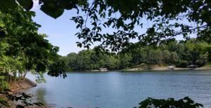 Lot #59 Charlotte LN