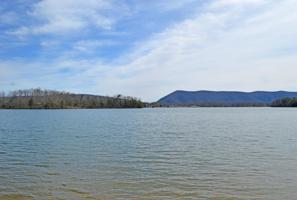 Lot 17 Summer LN
