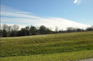 Lot 27 Camellia PL