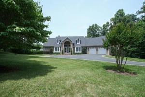 385 Silver Tee DR