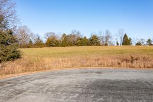 Lot 29 Royal Tern ST
