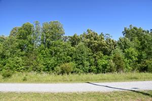 Lot 11 Brooks LN