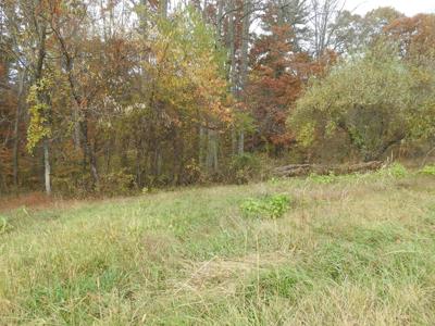 Lot 10 River Rock RD