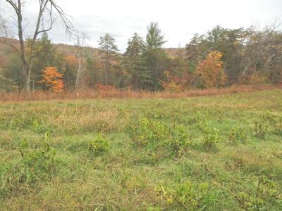 Lot 33 River Rock RD