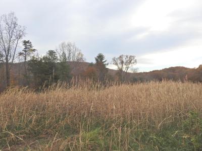 Lot 37 River Rock RD