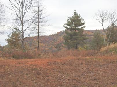 Lot 34 River Rock RD