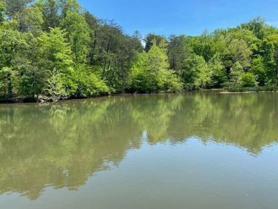 Lot 38 Lakewatch CIR