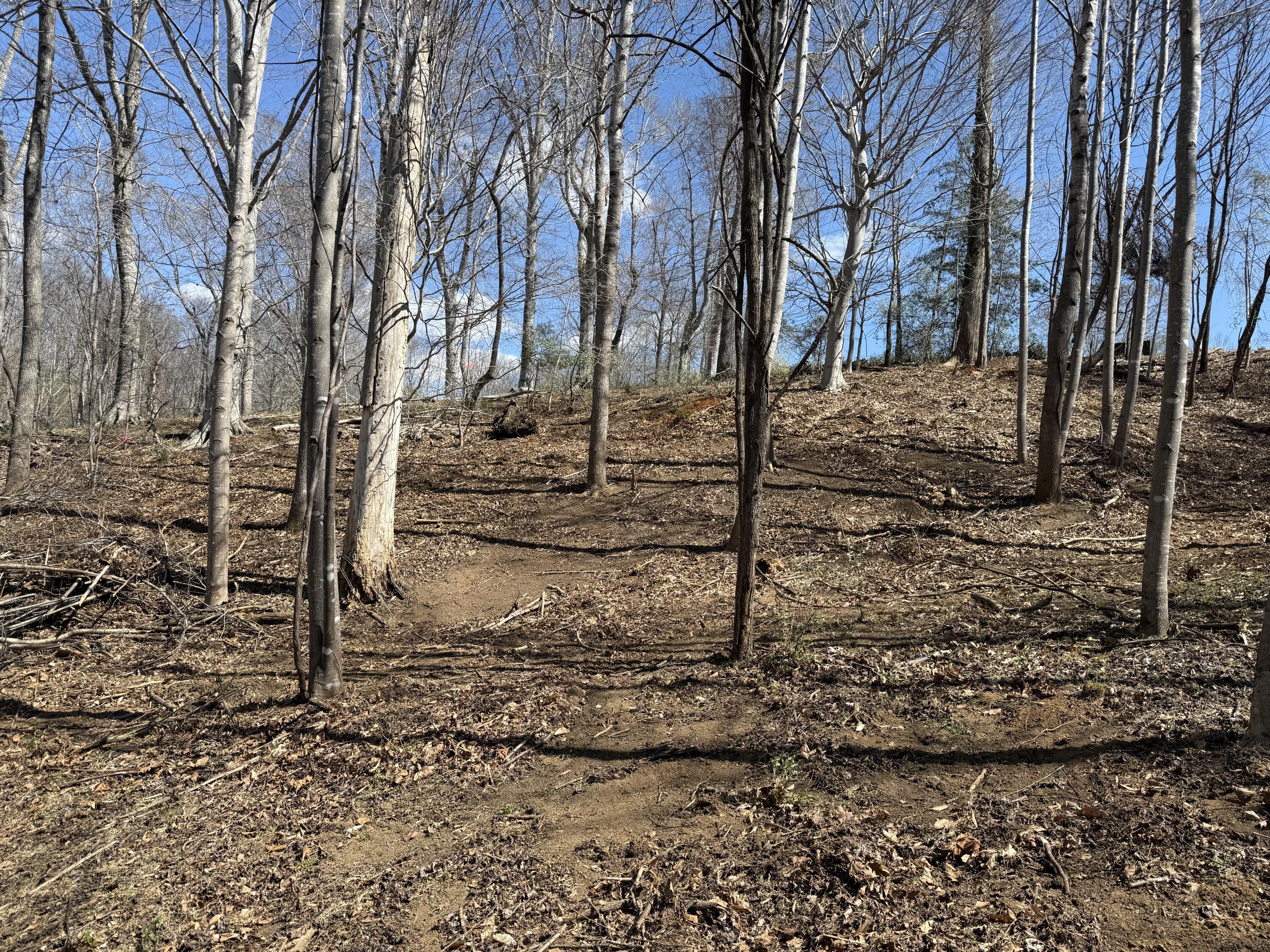 Image 2: IMG_0021