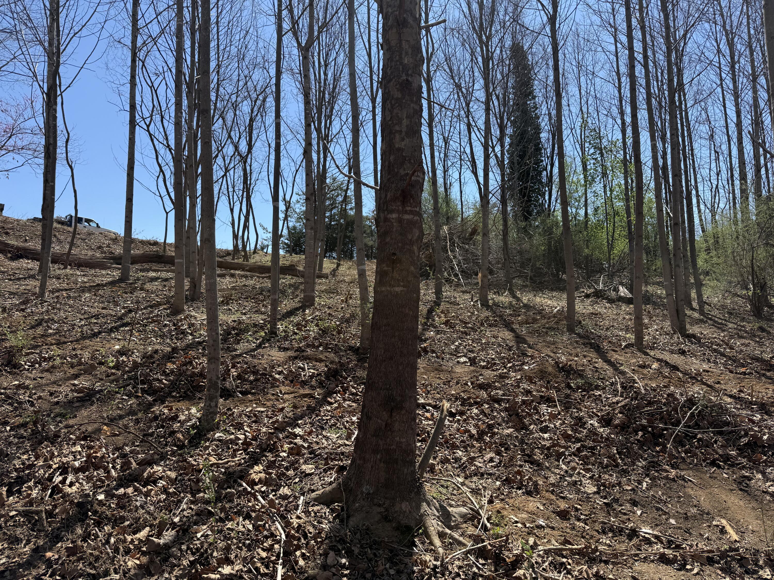 Image 3: IMG_0022