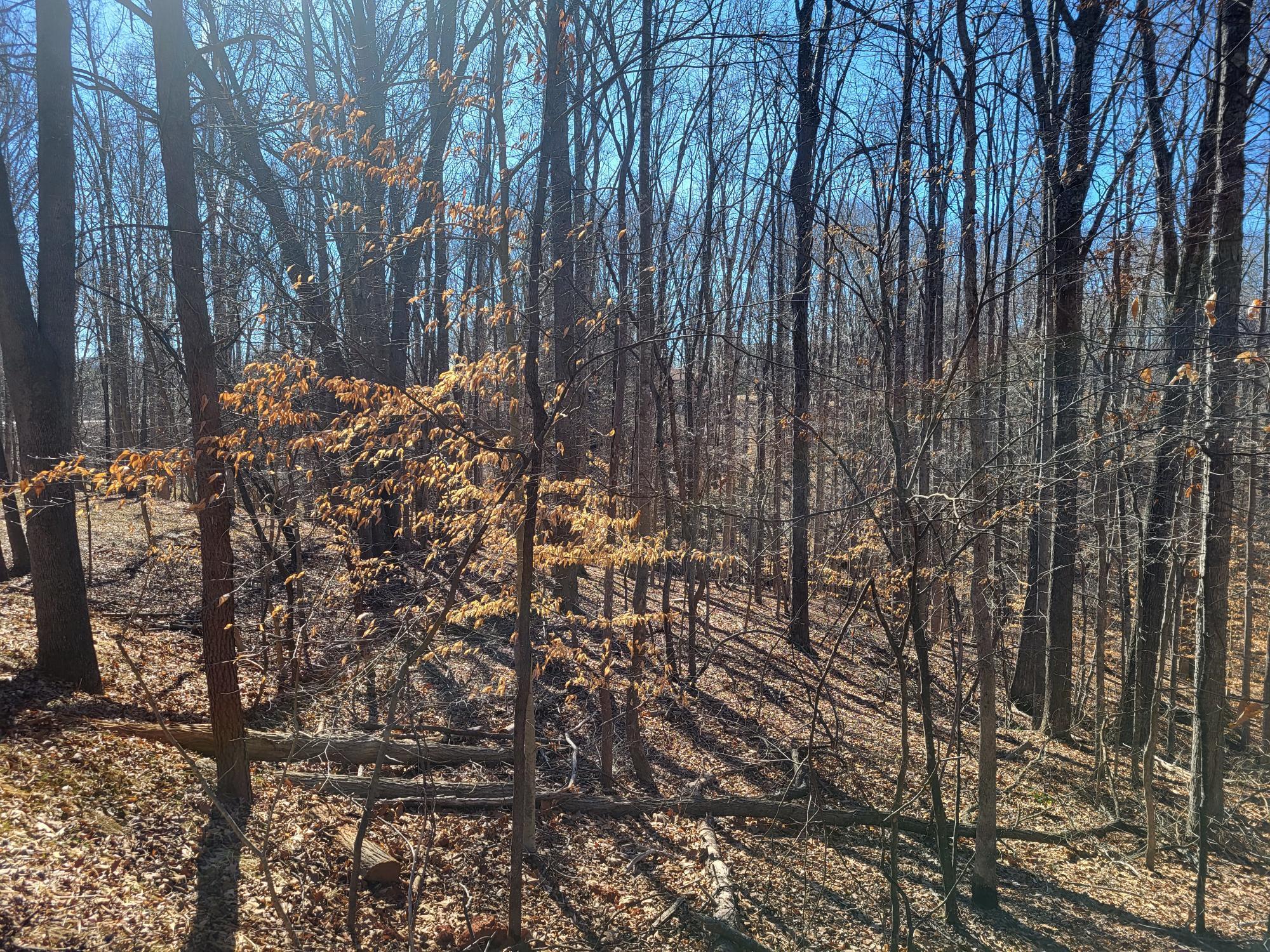 Image 2: 20240201_124504
