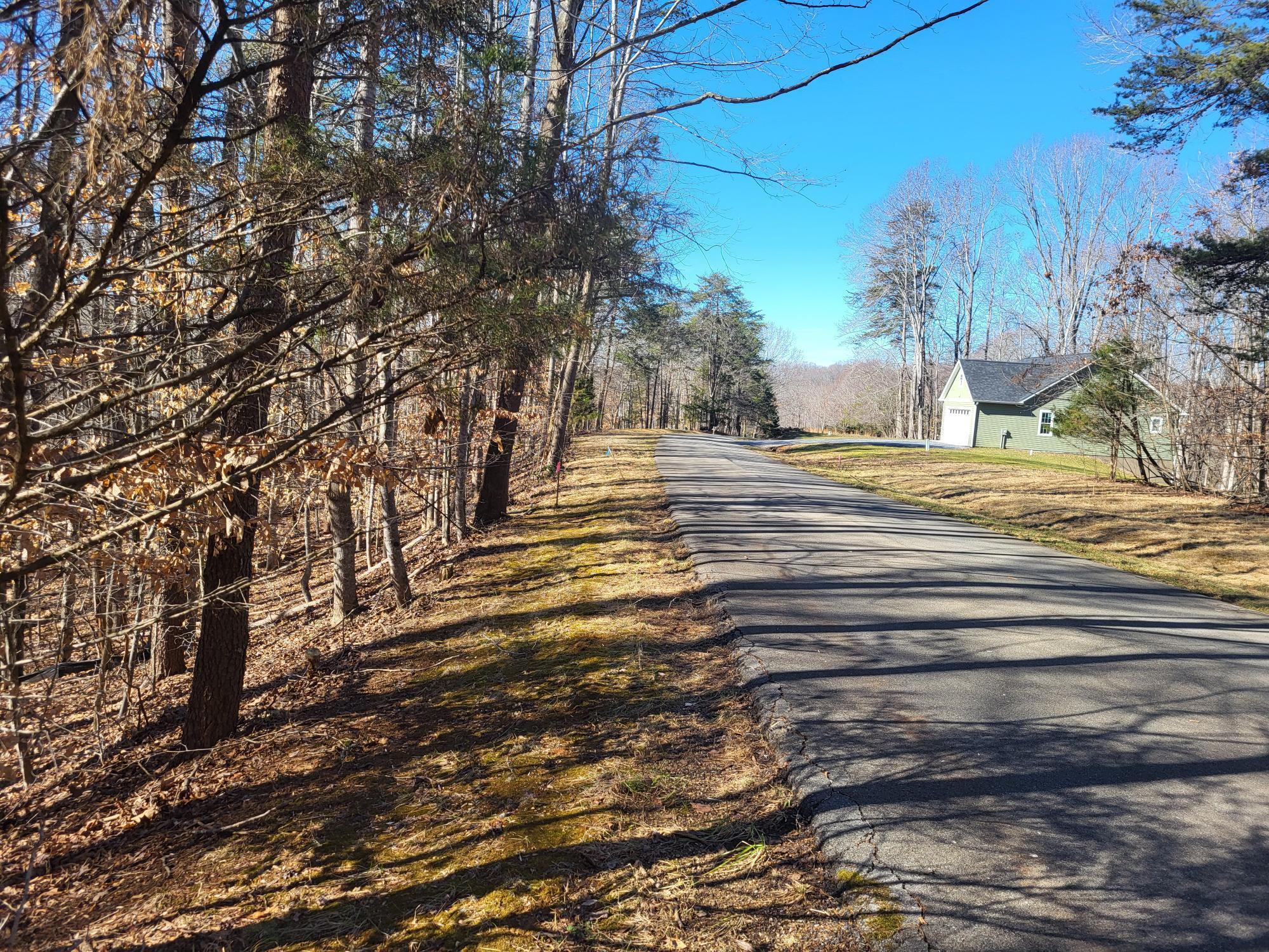 Image 3: 20240201_124507