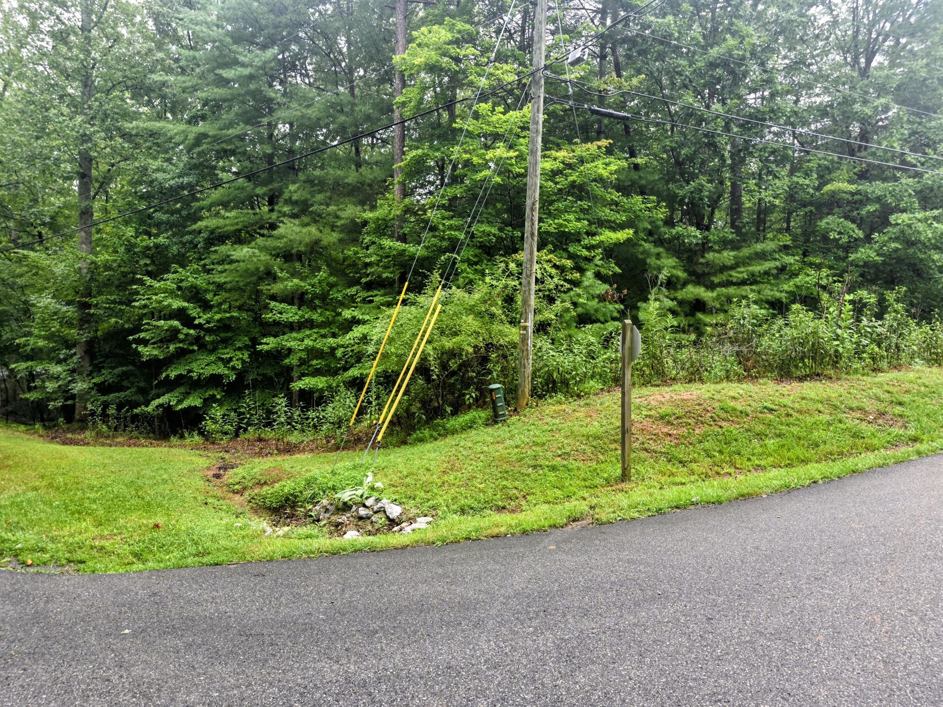 Image 2: 20260725_103143~5
